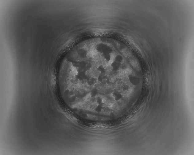 X0000111840691200908201217