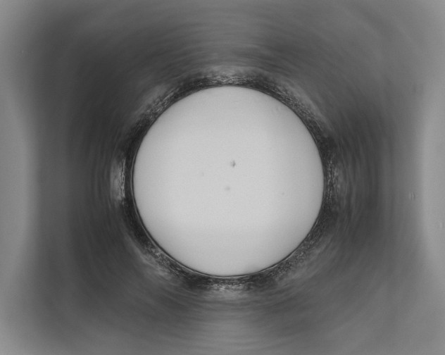 X0000111840694200908201217