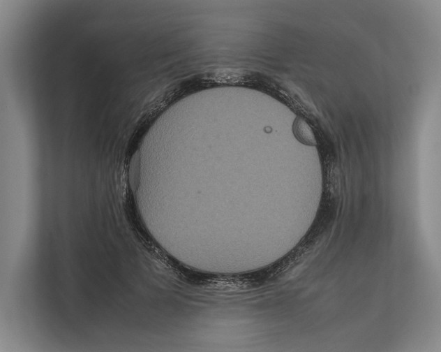 X0000111840697200908201217