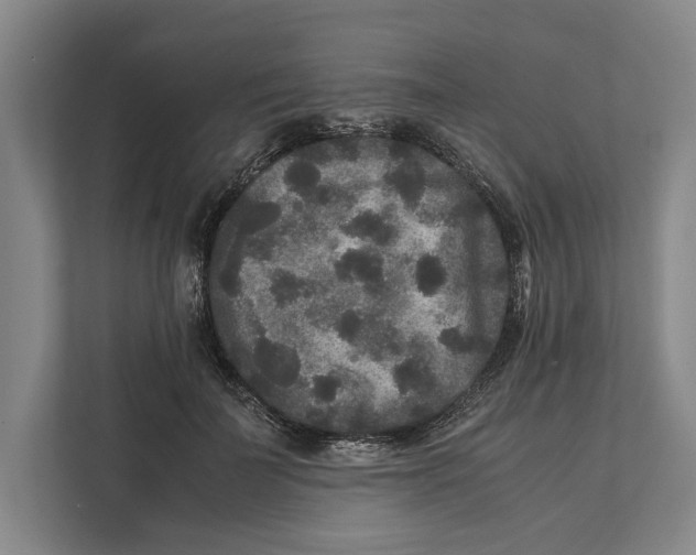 X0000111840699200908201217