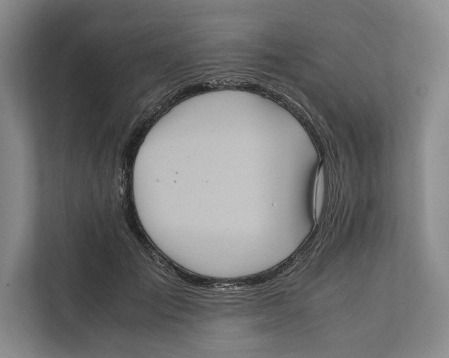 X0000111840701200908201217