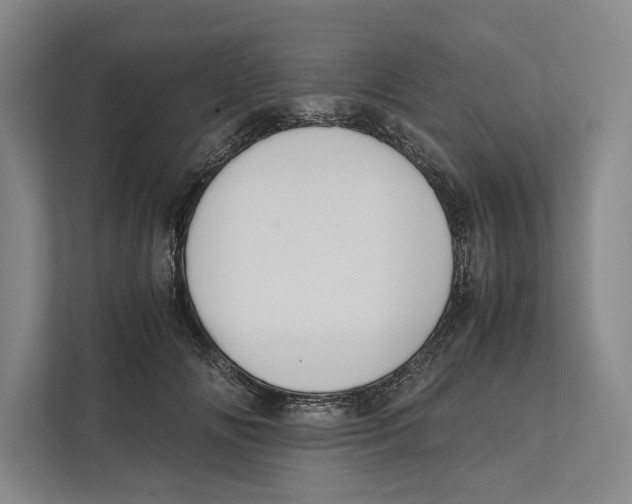 X0000111840702200908201217