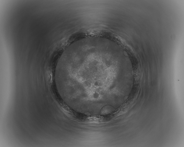 X0000111840703200908201217