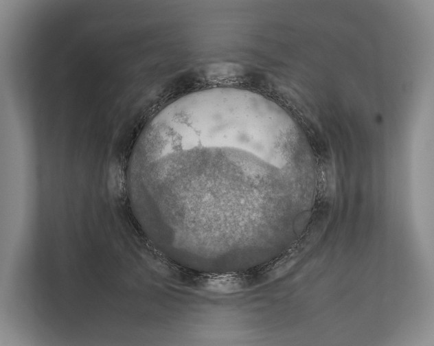 X0000111840705200908201217