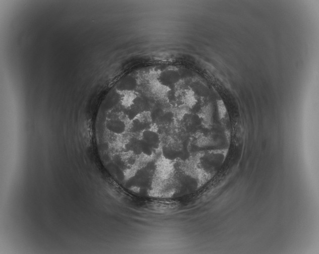 X0000111840707200908201217