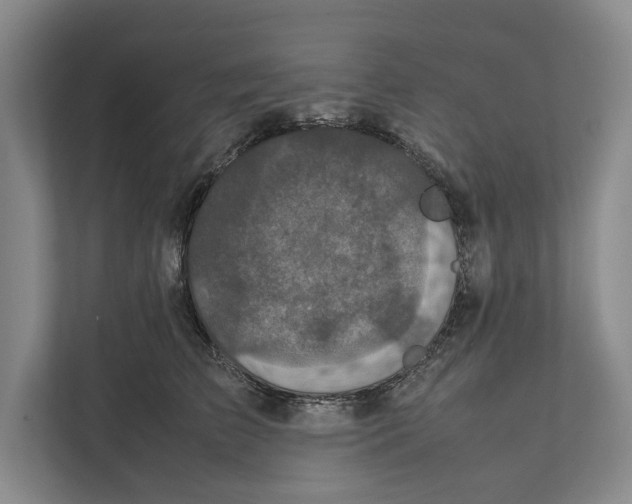 X0000111840709200908201217