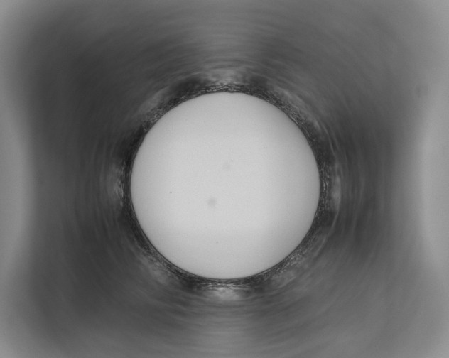 X0000111840710200908201217