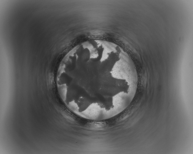 X0000111840711200908201217