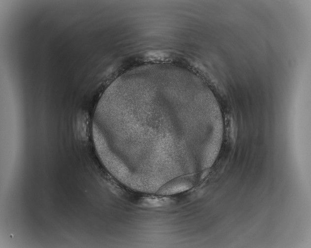 X0000111840712200908201217