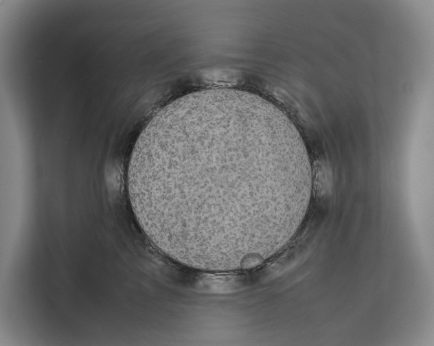 X0000111840713200908201217