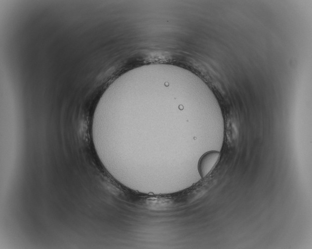 X0000111840714200908201217