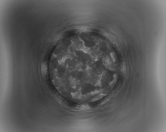 X0000111840715200908201217