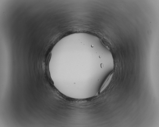 X0000111840716200908201217