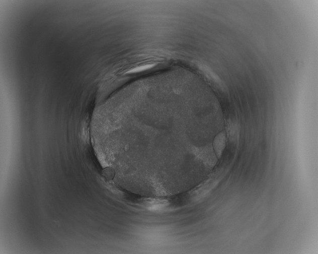 X0000111840719200908201217