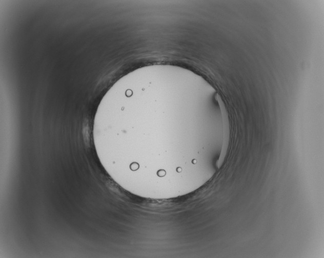 X0000111840720200908201217