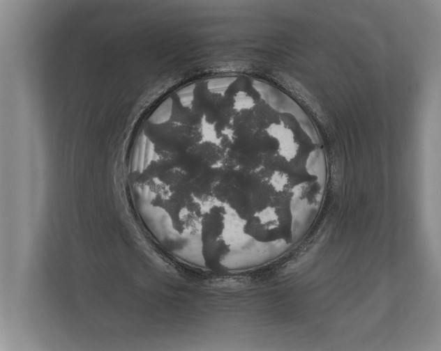 X0000111840721200908201216