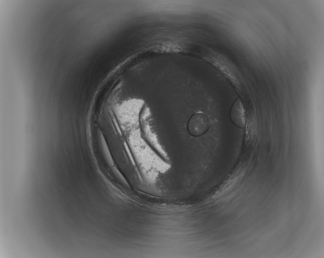 X0000111840722200908201216