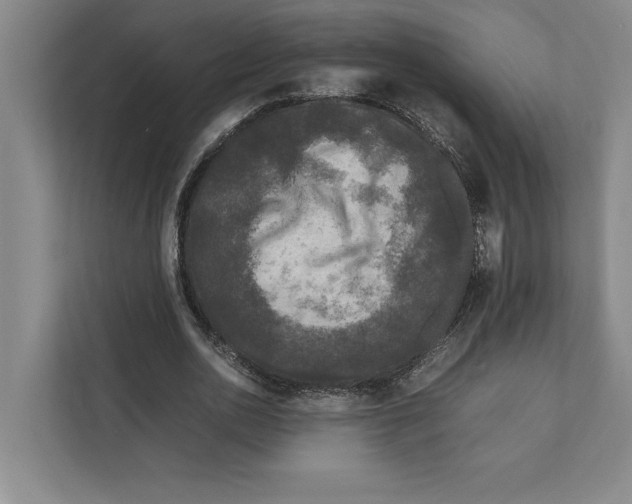 X0000111840726200908201216