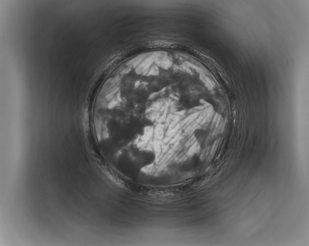 X0000111840729200908201216