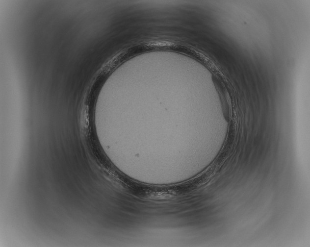 X0000111840731200908201216