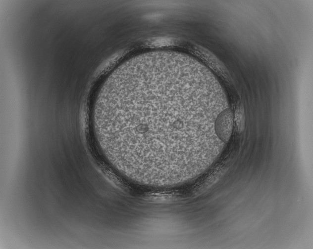 X0000111840732200908201216