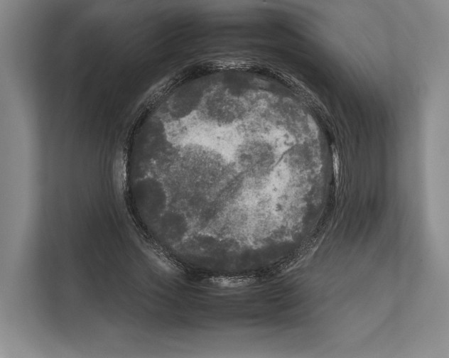 X0000111840733200908201216