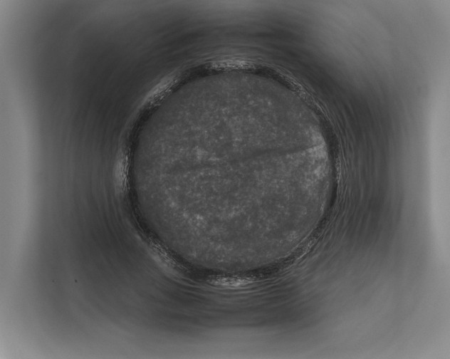 X0000111840735200908201216