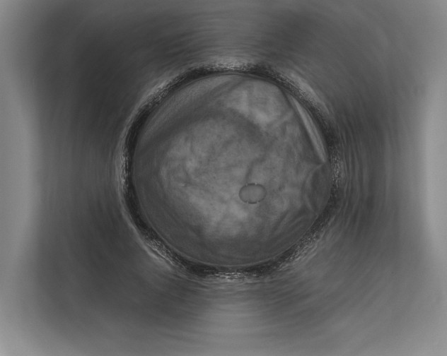 X0000111840736200908201216