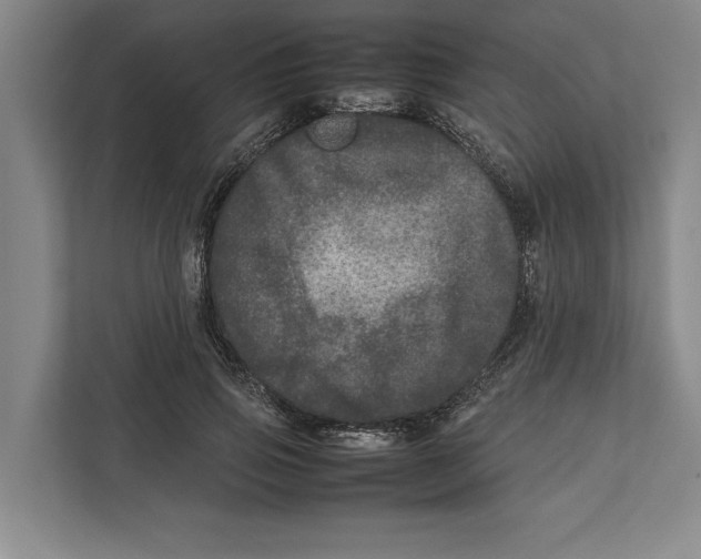 X0000111840741200908201216