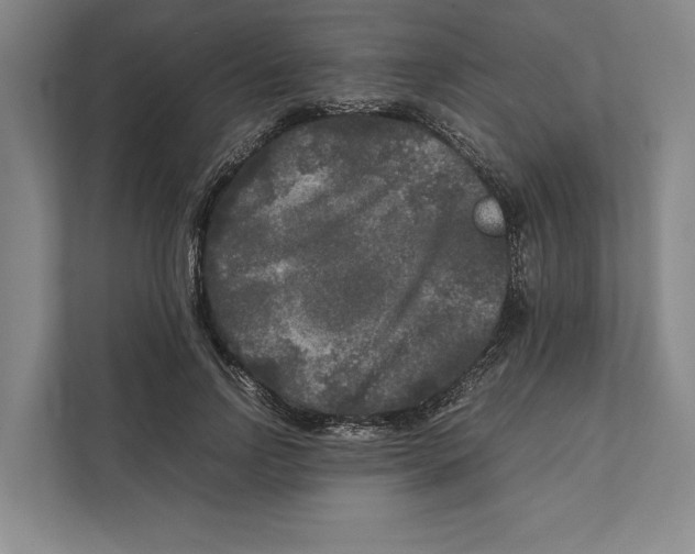 X0000111840742200908201216