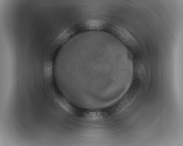 X0000111840744200908201216