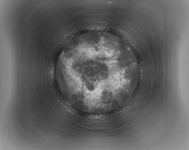 X0000111840745200908201216