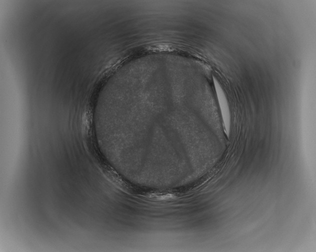 X0000111840747200908201216