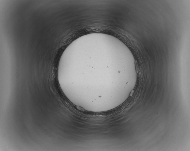 X0000111840751200908201216