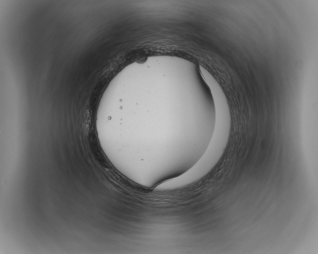 X0000111840752200908201216