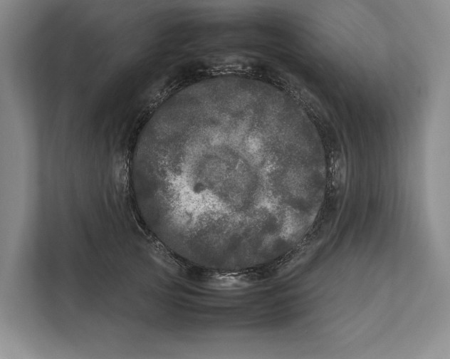 X0000111840753200908201216