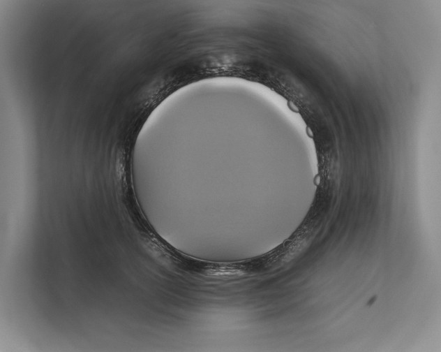 X0000111840754200908201216