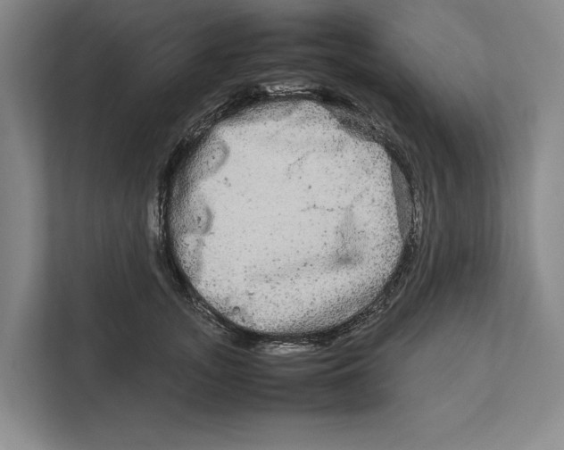 X0000111840755200908201216