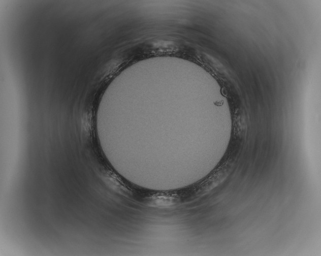 X0000111840756200908201216