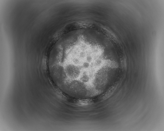 X0000111840757200908201216