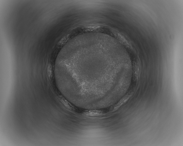 X0000111840758200908201216