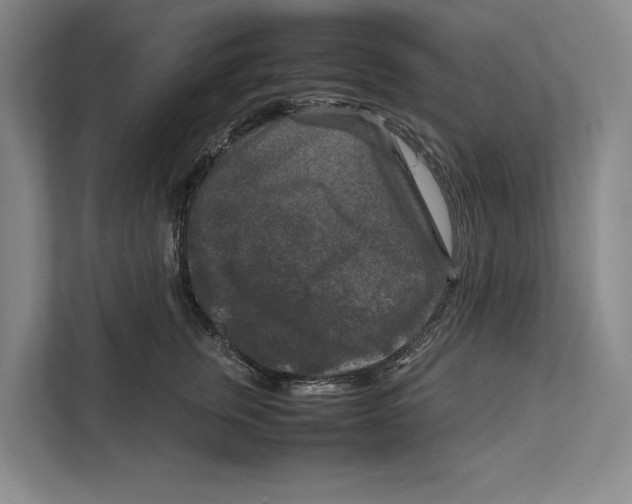 X0000111840759200908201216