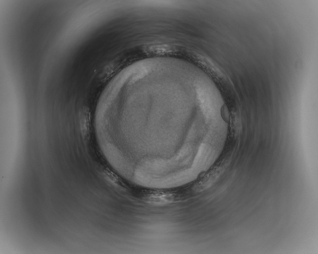 X0000111840760200908201216