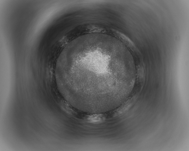 X0000111840761200908201216