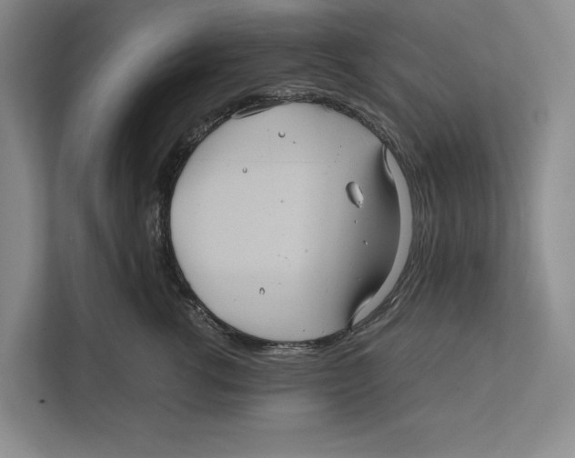 X0000111840762200908201216