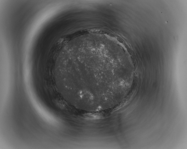 X0000111840763200908201216