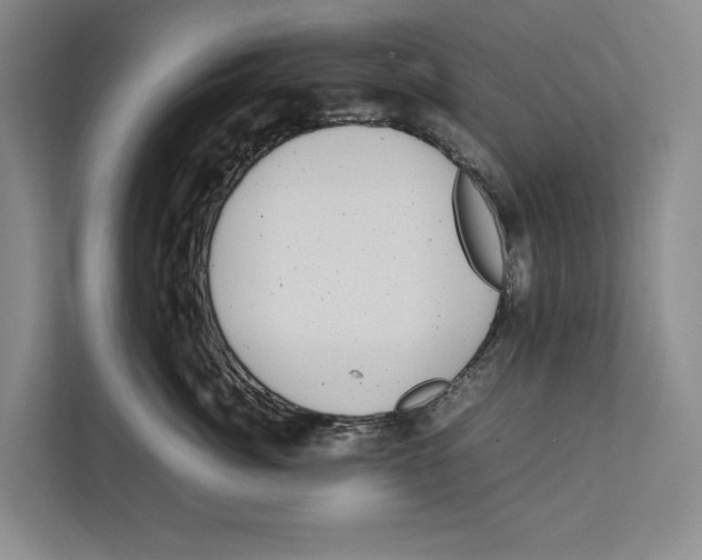 X0000111840764200908201216