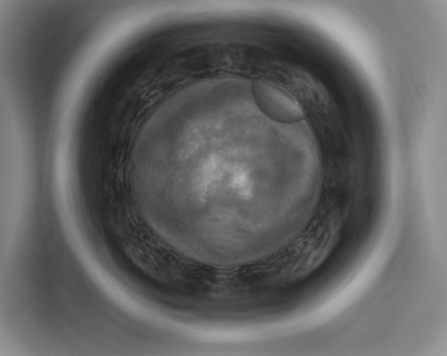 X0000111840766200908201217