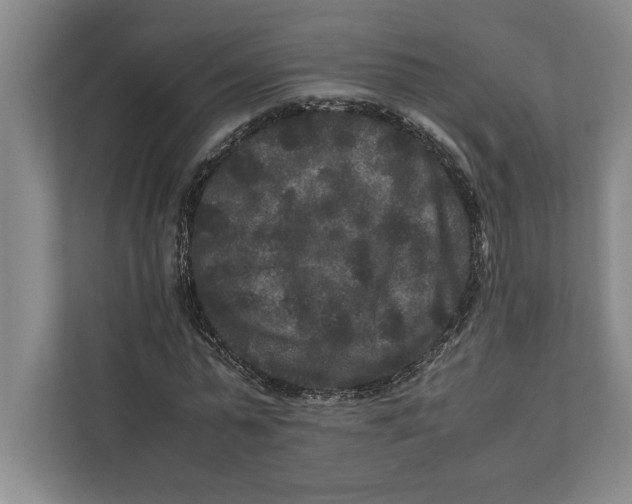 X0000111840775200908201216