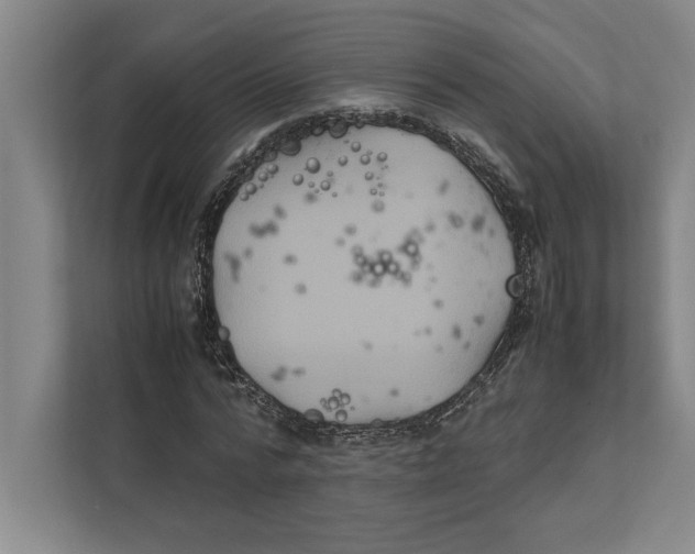 X0000111840776200908201216